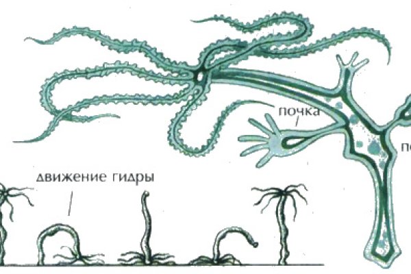 Кракен зеркало рабочее kr2web in