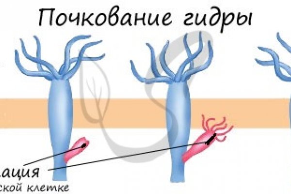 Kraken ссылка tg